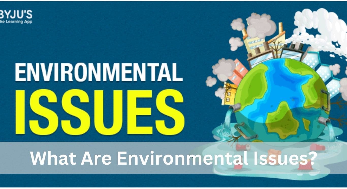 What Are Environmental Issues?